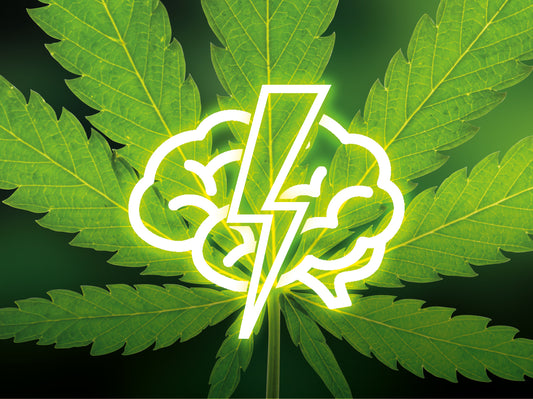 Epilessia - La cannabis è la speranza per i casi farmacoresistenti?